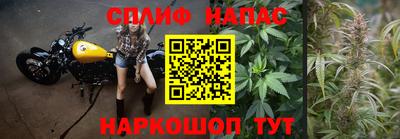ECSTASY Краснознаменск