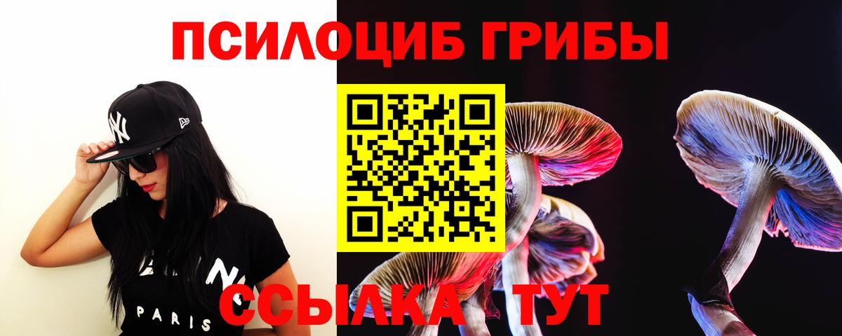 Псилоцибиновые грибы MAGIC MUSHROOMS Кириши